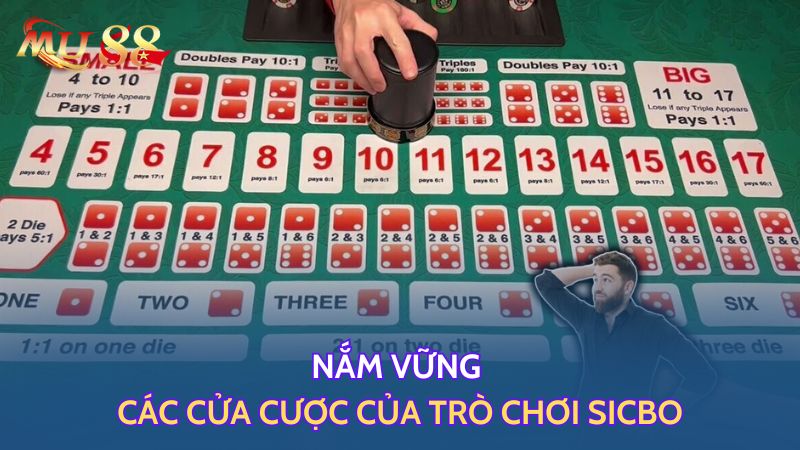 Nắm vững các cửa cược của trò chơi