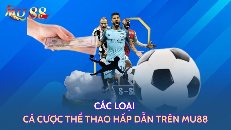 Các loại cá cược sports hấp dẫn trên Mu88