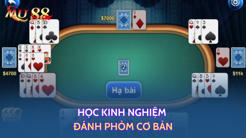 Học kinh nghiệm đánh phỏm cơ bản