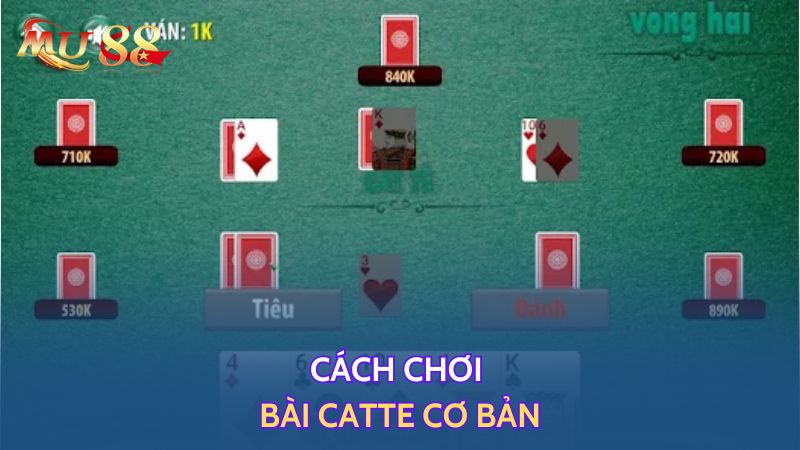 Cách chơi bài catte cơ bản